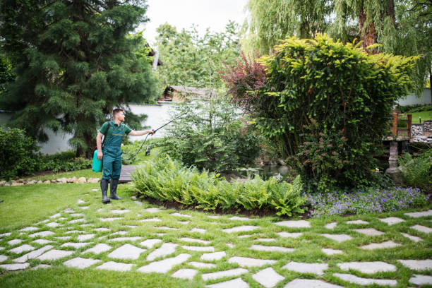 Best Commercial Pest Control Services  in Rotonda, FL