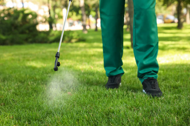 Best Best Pest Control Companies  in Rotonda, FL