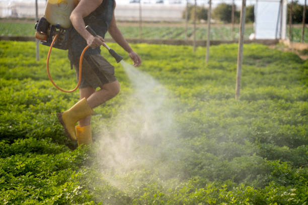 Best Exterminator Services  in Rotonda, FL