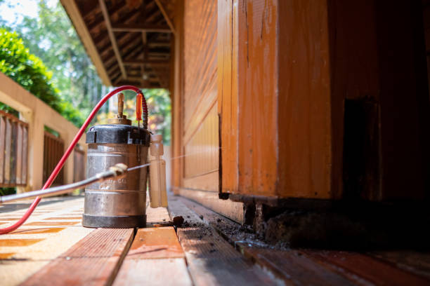 Best Affordable Pest Control Services  in Rotonda, FL