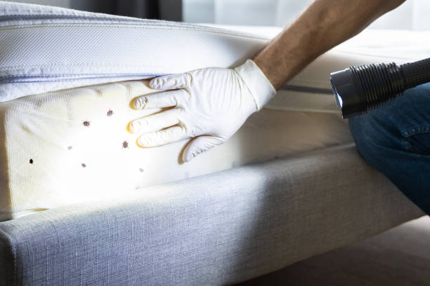 Best Best Pest Control Companies  in Rotonda, FL