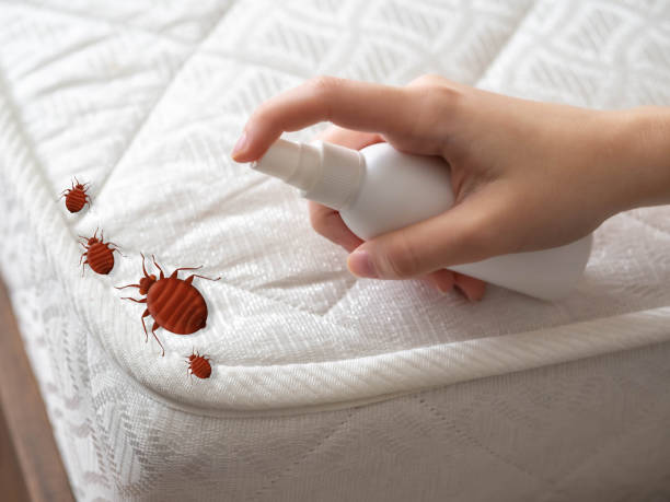 Best Commercial Pest Control Services  in Rotonda, FL