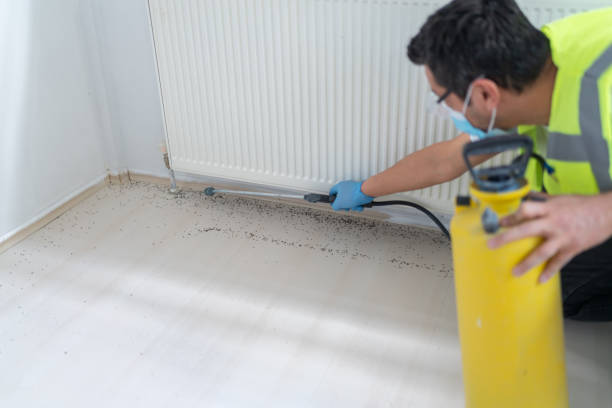 Best Insect Control  in Rotonda, FL
